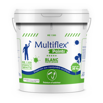 Peinture d'extérieur Multiflex Paints ME 1300